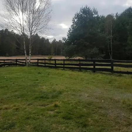 Uroczy Letniskowy W Otoczeniu Przyrody Holiday home *
